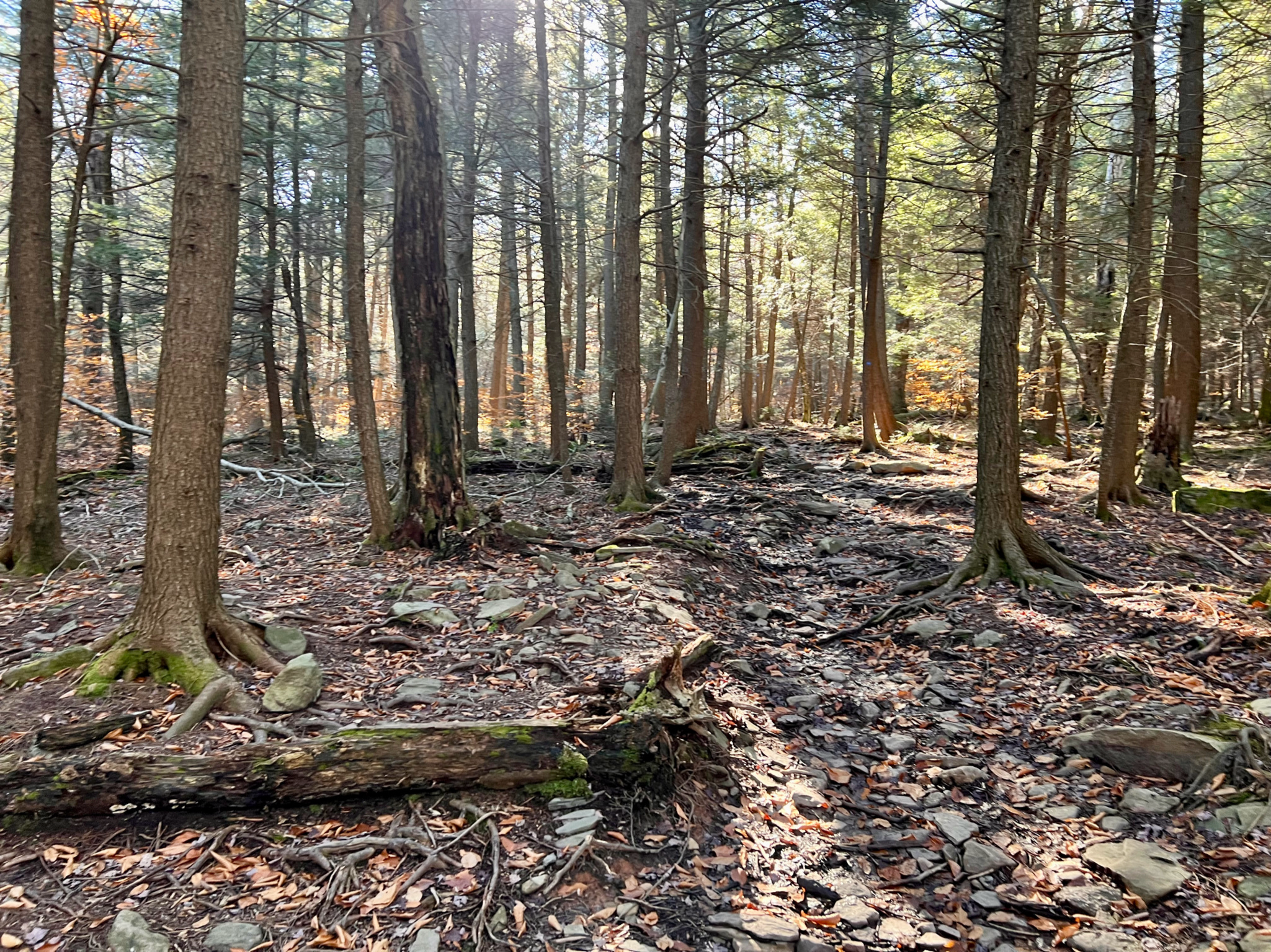 Rocks proliferate, even before much climbing