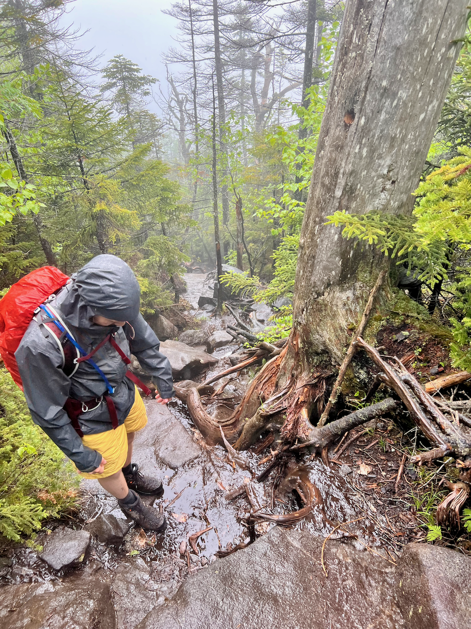Wet, cold, hungry, and tired, we did not enjoy descending Seymour